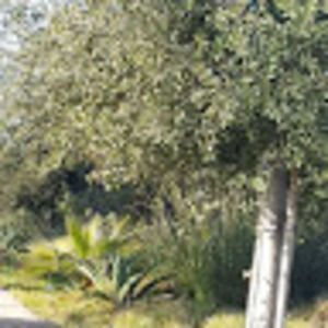 Meet your Posher, Danilo